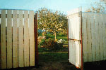деревянный забор с открытой калиткой