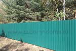 Зеленый забор из профлиста в солнечную погоду