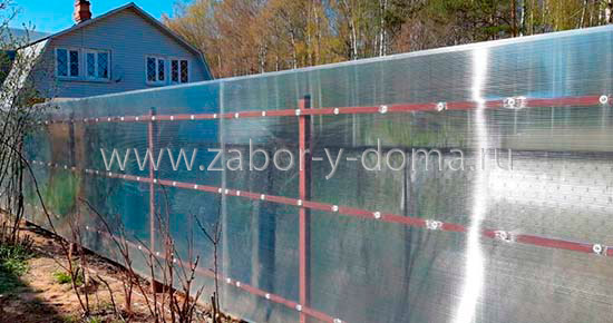 Прозрачный забор из поликарбоната рядом с теплицей